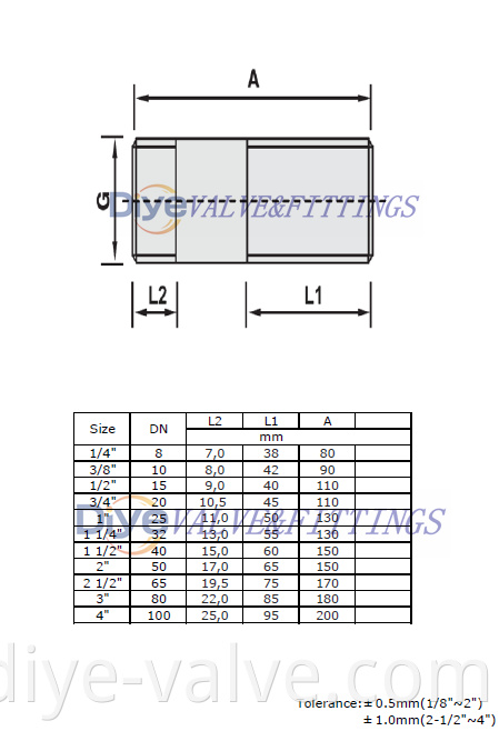 stainless Steel pipe nipples